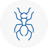 Ant Removals In Musselburgh