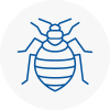 Bed Bug Extermination In Musselburgh
