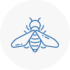 Bee Nest Removal Musselburgh