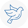 Bird Prevention Musselburgh