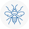 Musselburgh Hornet Nest Removals