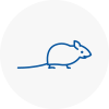 Mice Exterminators In Musselburgh