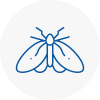 Moth Control Specialists In Musselburgh