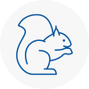 Musselburgh Rodent Removals